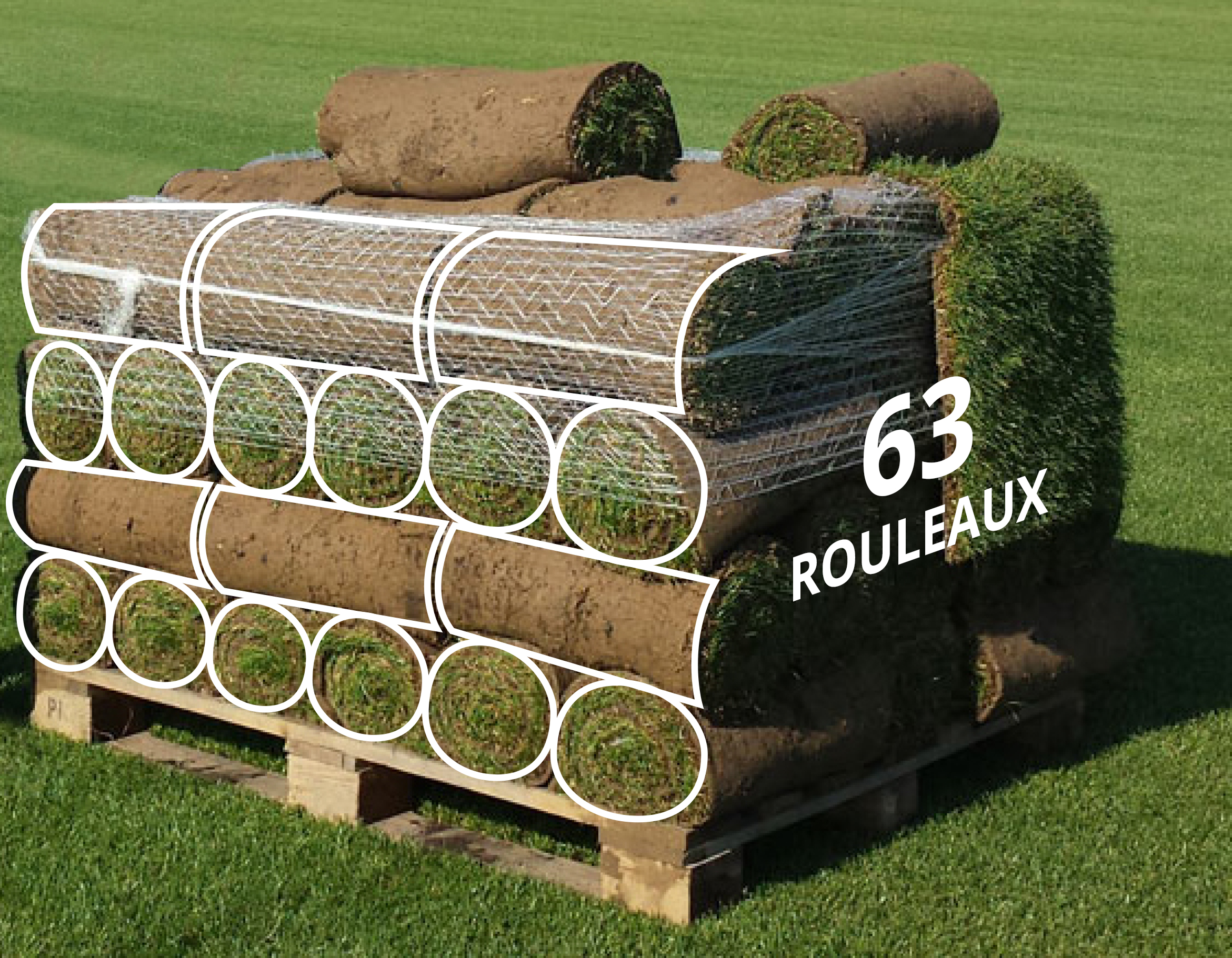 Accueil - Gazons de Fontainebleau - Experts du gazon en rouleau